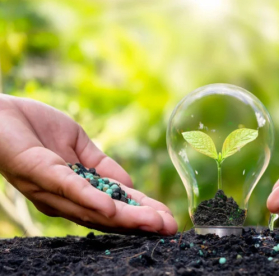 Les engagements RSE de PLUCEO